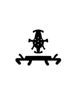 KASK Ersatzpolster Plasma/Superplasma